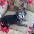 Cathy Taylor's profile image