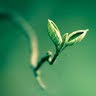 P M.'s profile image