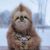 Darlene Zmudzinski Rardin's profile image