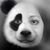 Aurora Alva's profile image