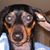 Sherri Warfield Niblett's profile image