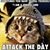 Heather Boyles's profile image