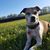 Ruth Hannah's profile image
