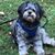 Bonnie Robertson's profile image