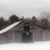 Ellen Murley Bickley's profile image