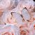 Nada Mohamed's profile image