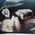 Gina Leonard-Ziino's profile image