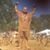 David Samuel Daigle's profile image