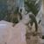 Debra Feldsher Mccombs's profile image