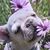 Ariel Yun Hong's profile image