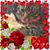 Jo Bever Robbins's profile image