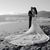 Sara Zamani's profile image