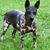 Jackie Craver's profile image