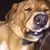 Shauna Glazier's profile image