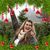 Heidi M. Shinall's profile image