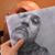 Agustin L Alvarez's profile image