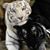 StephandNate Fontenot's profile image