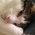 Deb Dlugosz's profile image
