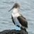 Colleen Fegan's profile image