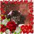 Stacey Lynn Howard's profile image