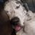Kristie Mc's profile image