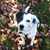 Katie 'Yantorni' Burt's profile image