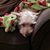 Carly Hostetler's profile image