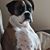 Debbie Tancos Di Fiore's profile image