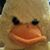 David Ryan's profile image