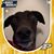Susan Stidham Dobbs's profile image