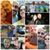 Kemell Sookey's profile image