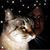 Jennifer Carver's profile image