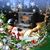 Tammy Cheney's profile image