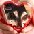 Cynthia MacGillivray's profile image