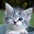 Lorena Montgomery's profile image