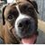 Kelly Marie's profile image