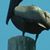 Bunnie Walthall's profile image