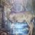 Dylan Woods's profile image