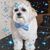 Judy Cremone's profile image