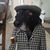 Dmitryi Fediuc's profile image