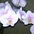 Theresa Shuck's profile image