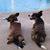 Laurie Spohn-McVey Odiorne's profile image