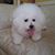 Angela Morris-Hameen's profile image