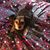 Susan Shuluga's profile image
