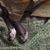 Michele Boyd's profile image