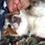 Laurie Breneman's profile image