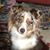 Caroline Morse's profile image