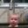 Claudia Everitt's profile image
