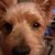 Cathy Cobb's profile image