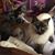 Sheri Lynne's profile image